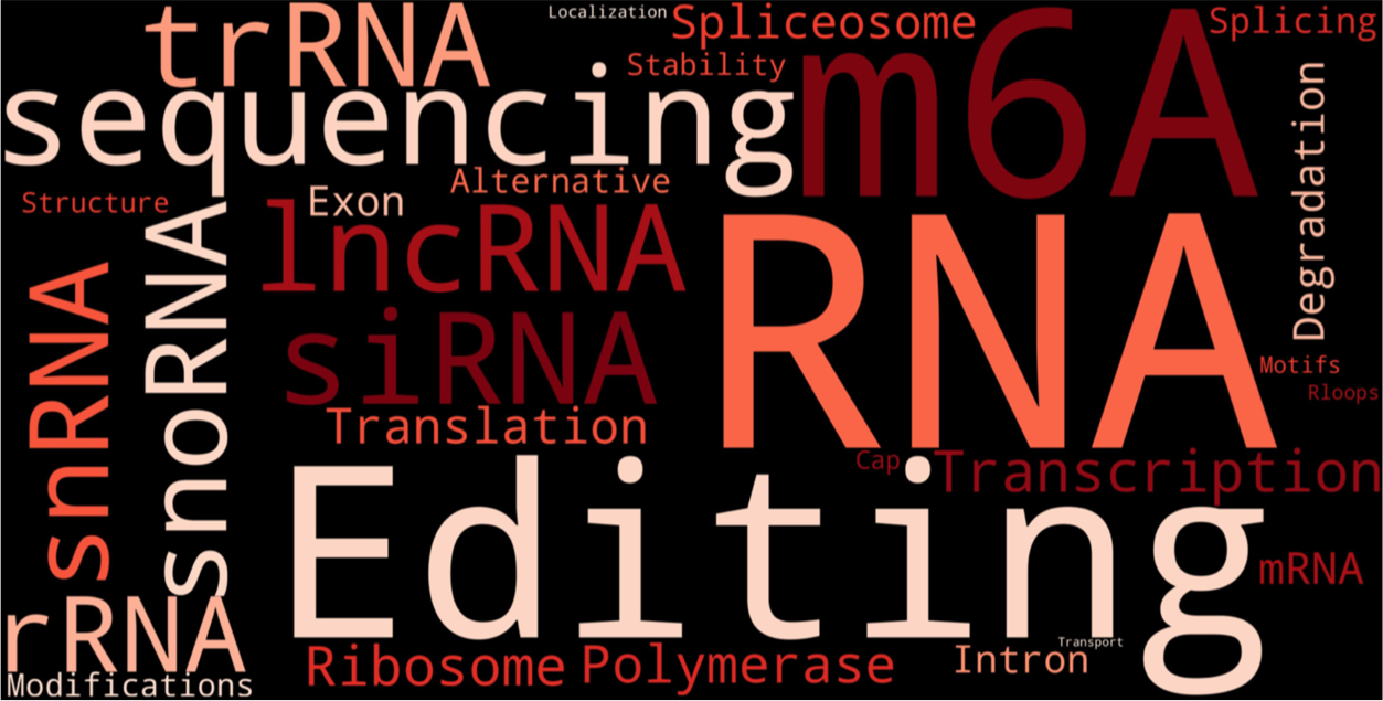 Updated_RNA_related_word_cloud-480_4.png